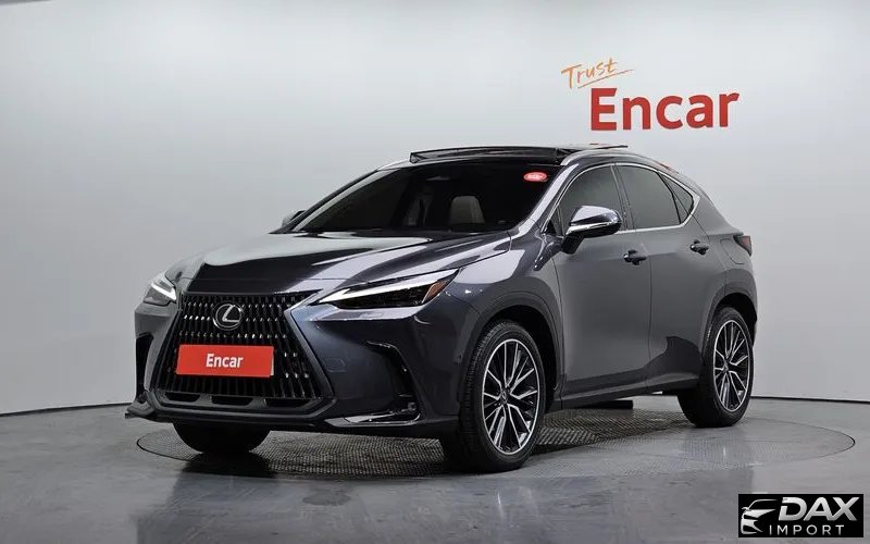 Lexus NX Luxury