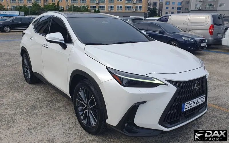 Lexus NX Luxury