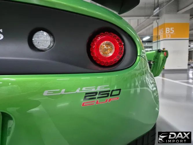 Lotus Elise CUP 250