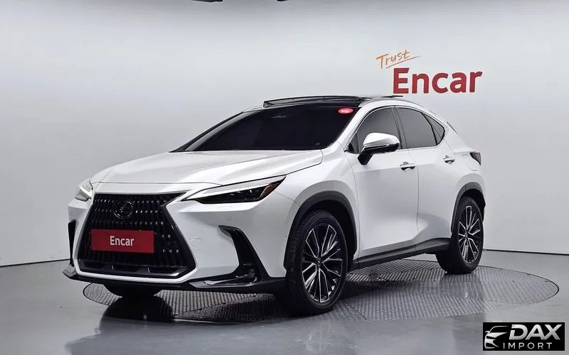 Lexus NX Luxury