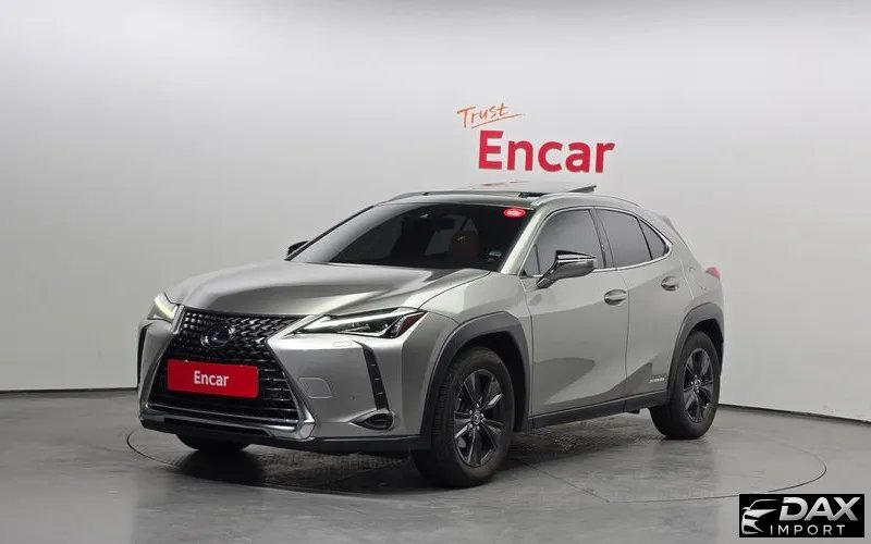 Lexus UX 2.0 2WD
