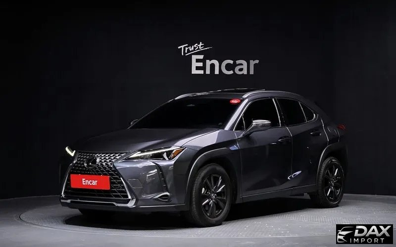 Lexus UX 2.0 2WD