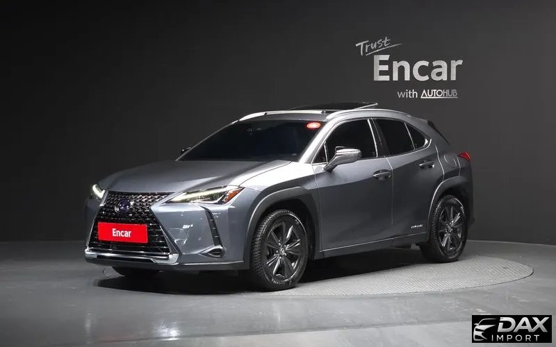Lexus UX 2.0 2WD