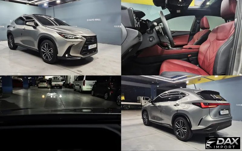 Lexus NX Luxury