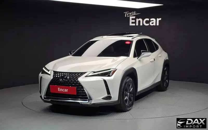 Lexus UX 2.0 2WD