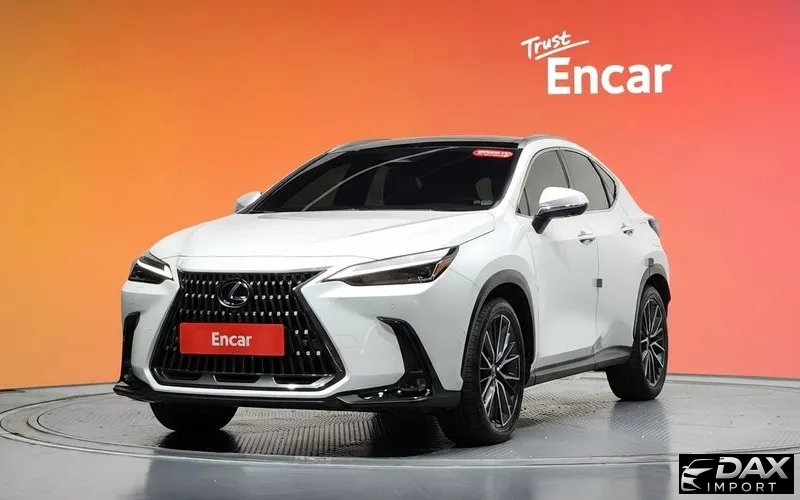 Lexus NX Luxury