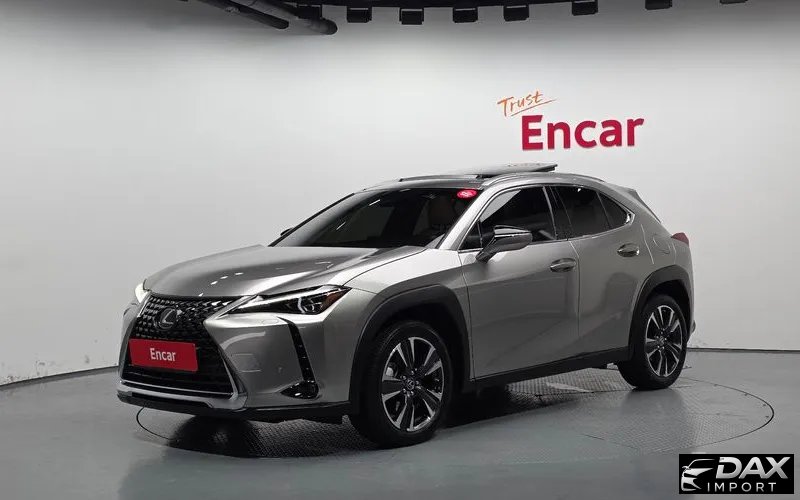 Lexus UX 2.0 AWD