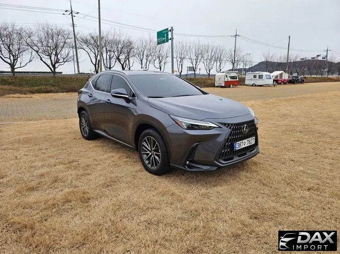 Lexus NX Premium