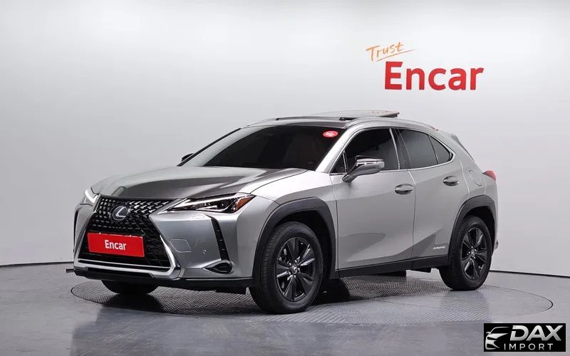 Lexus UX 2.0 2WD
