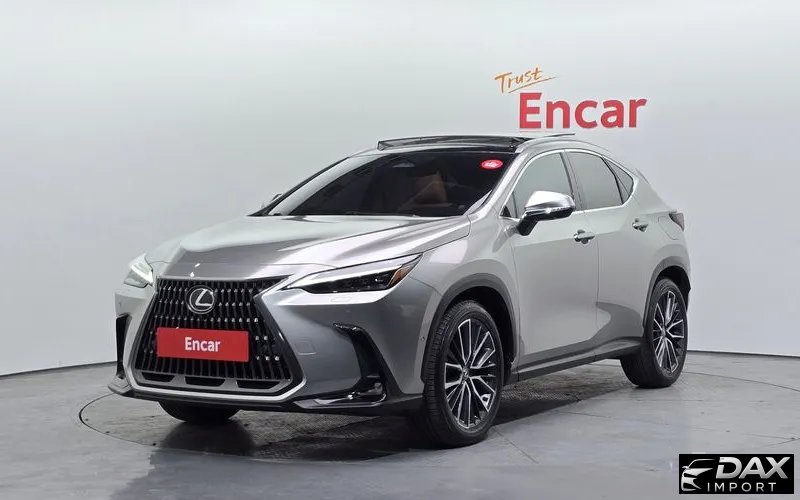 Lexus NX Luxury