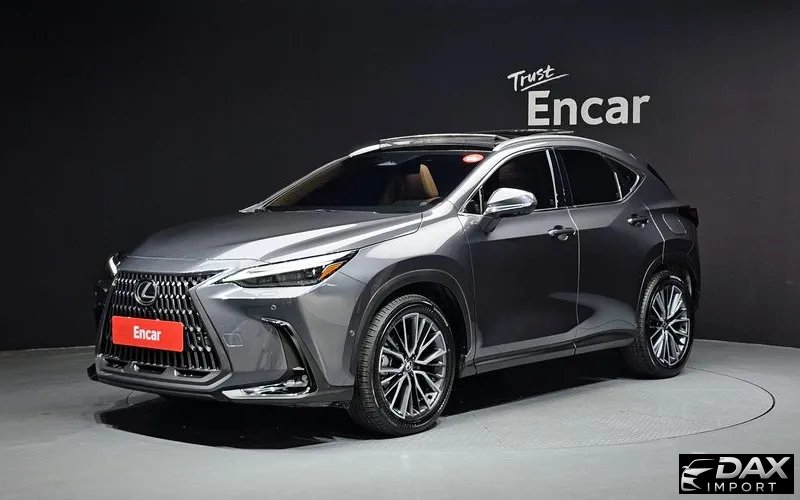 Lexus NX Luxury