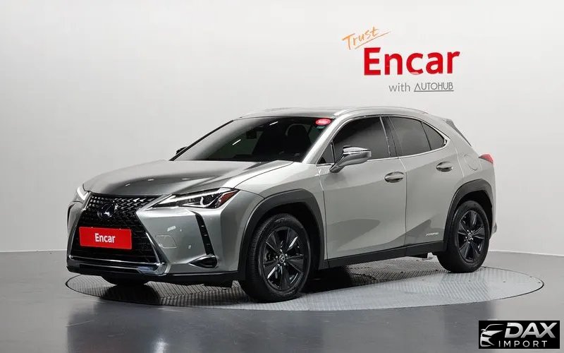 Lexus UX 2.0 2WD