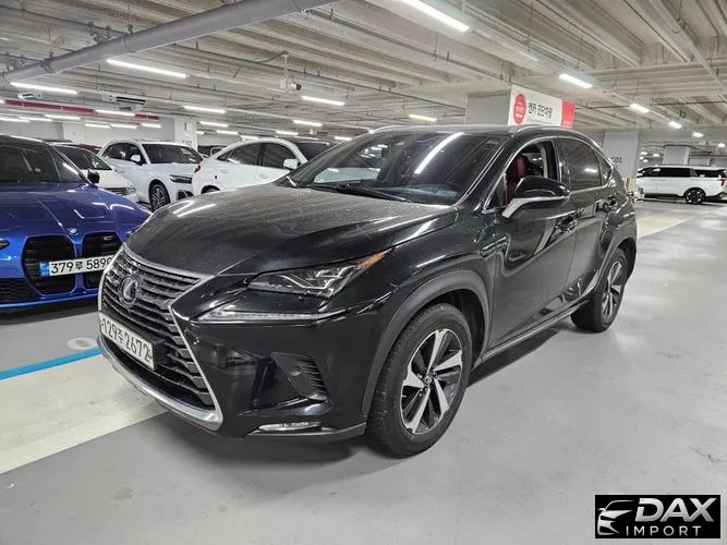 Lexus NX Supreme