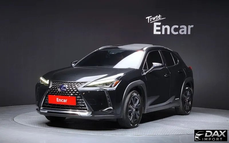 Lexus UX 2.0 2WD