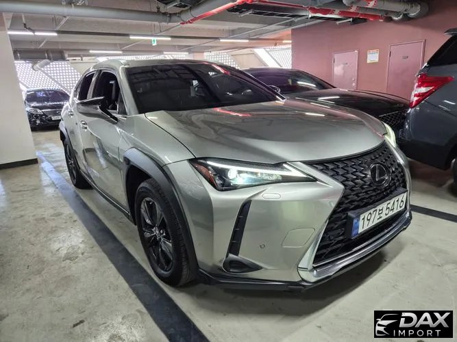 Lexus UX 2.0 2WD