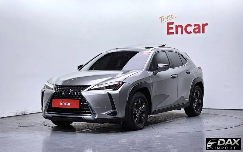 Lexus UX 2.0 2WD