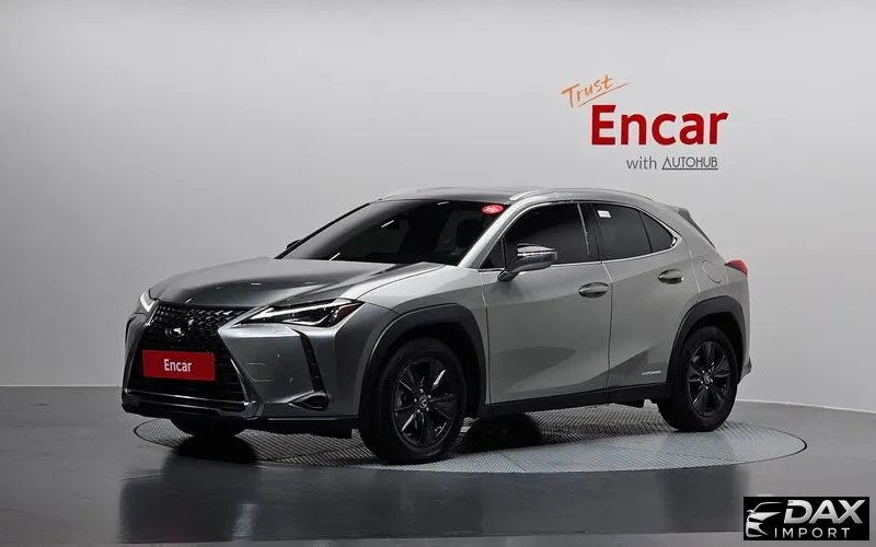 Lexus UX 2.0 2WD