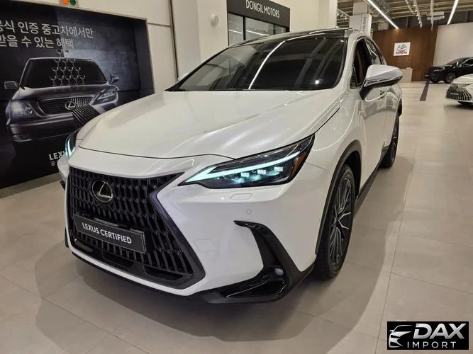 Lexus NX Luxury
