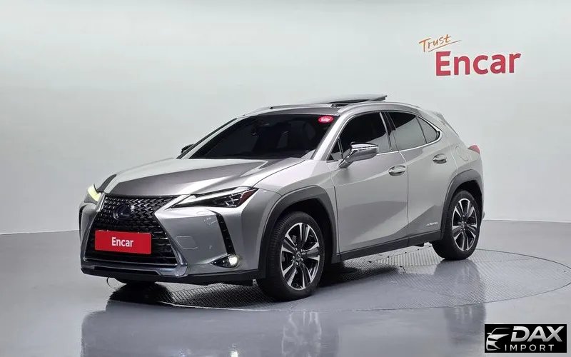 Lexus UX 2.0 AWD