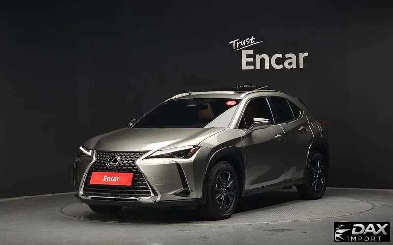 Lexus UX 2.0 2WD
