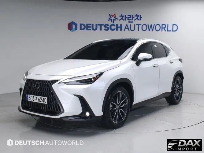 Lexus NX Luxury