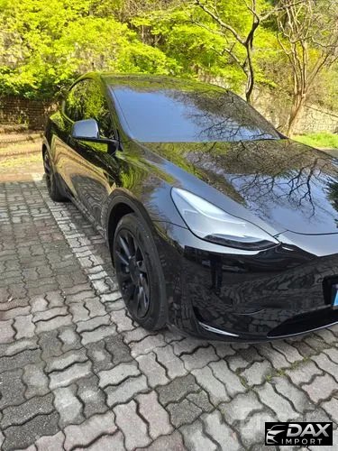 Tesla Model Y RWD