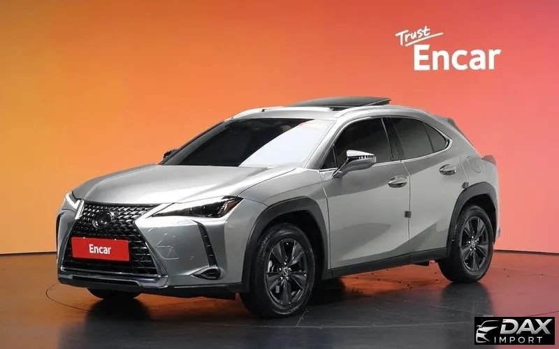Lexus UX 2.0 2WD