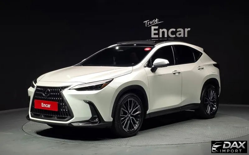 Lexus NX Luxury