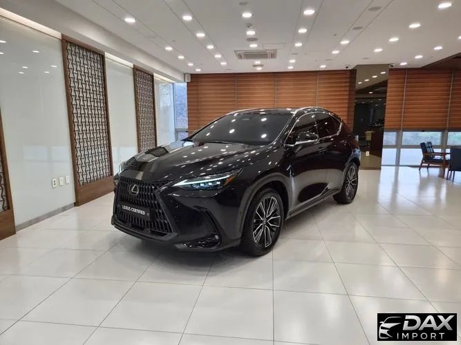 Lexus NX Luxury
