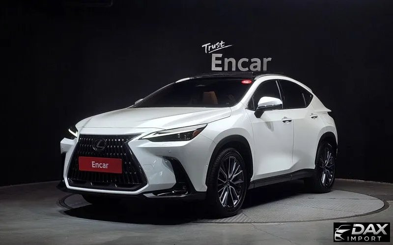 Lexus NX Luxury