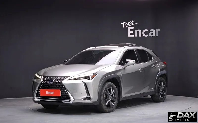 Lexus UX 2.0 2WD