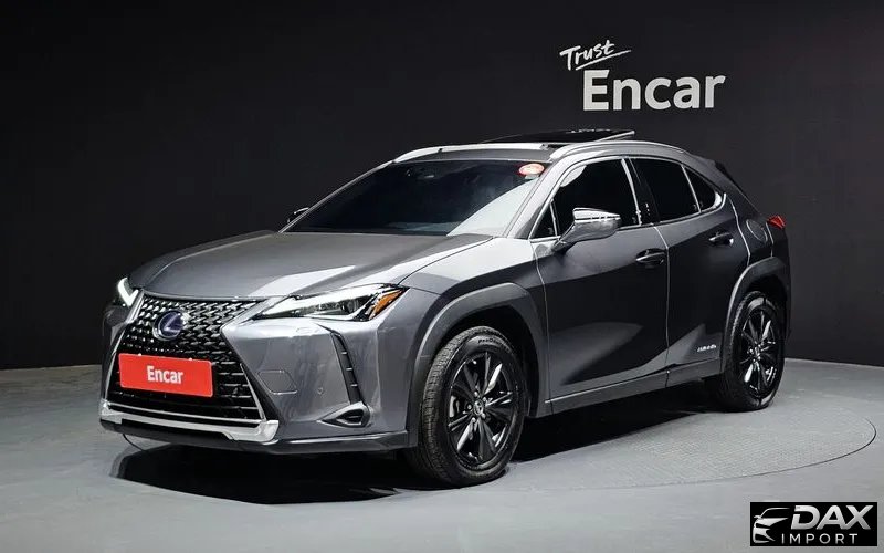 Lexus UX 2.0 2WD