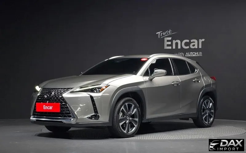 Lexus UX 2.0 AWD