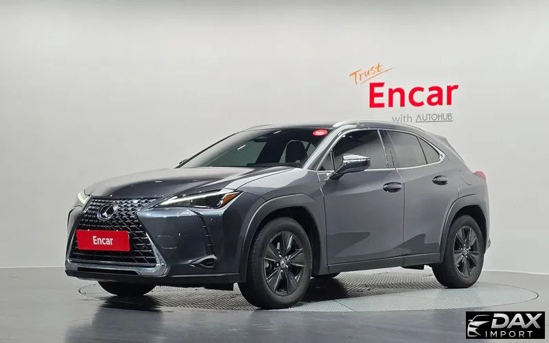 Lexus UX 2.0 2WD