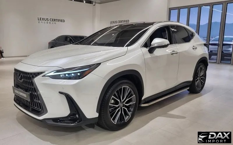 Lexus NX Luxury