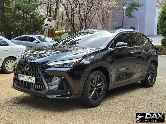 Lexus NX Premium