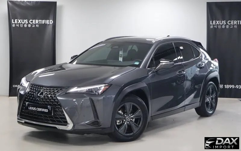 Lexus UX 2.0 2WD