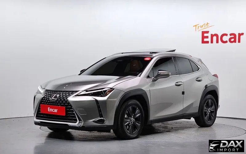 Lexus UX 2.0 2WD