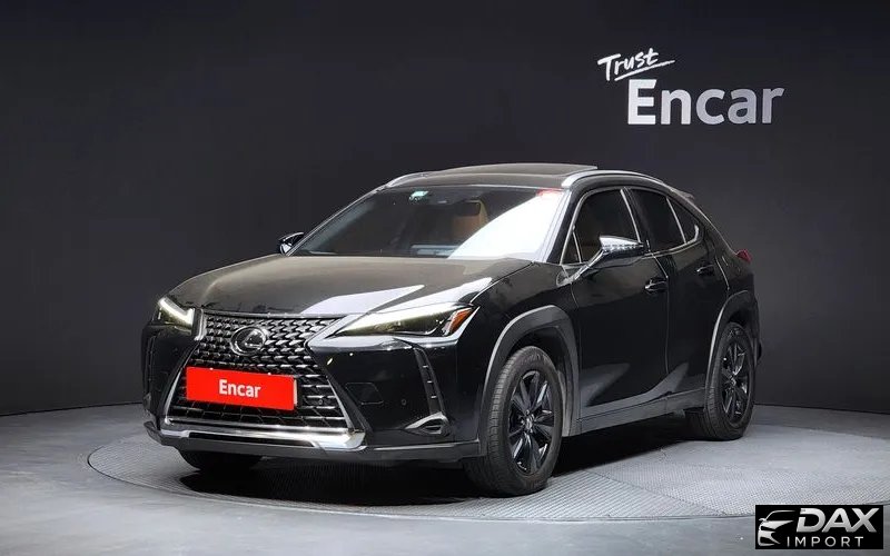 Lexus UX 2.0 2WD