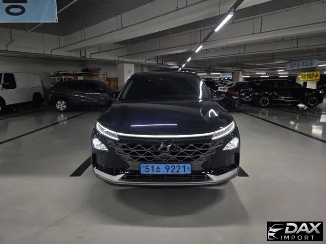 Hyundai Nexo Premium