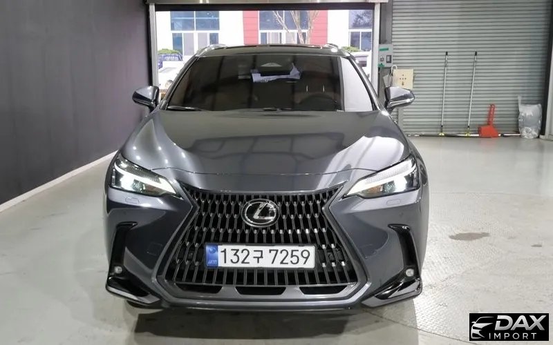 Lexus NX Premium