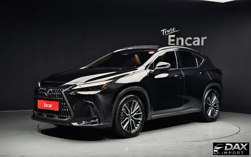 Lexus NX Luxury