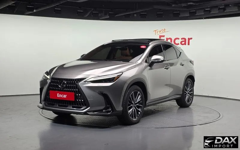 Lexus NX Luxury