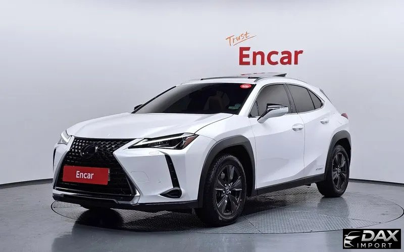Lexus UX 2.0 2WD