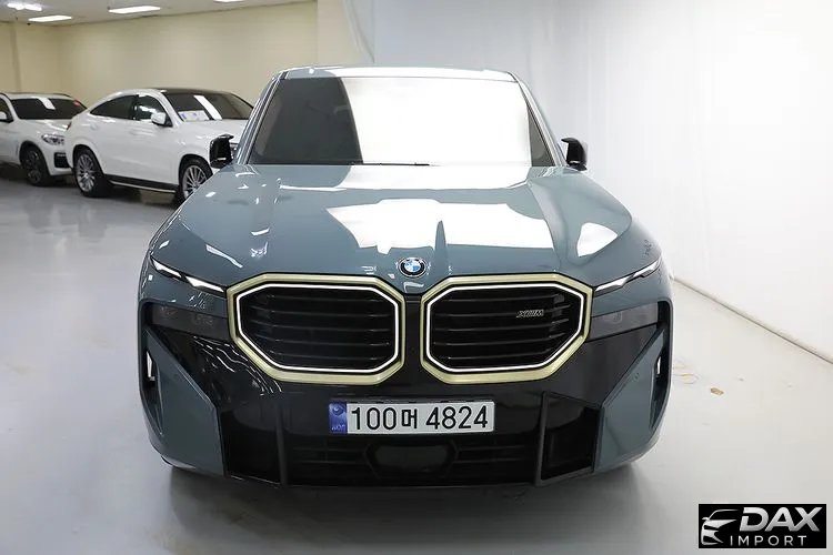 BMW XM 4.4