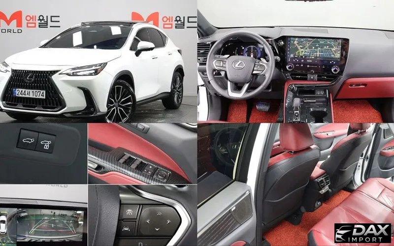 Lexus NX Luxury
