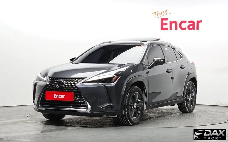 Lexus UX 2.0 2WD