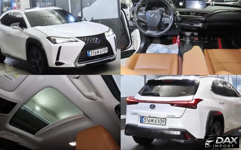 Lexus UX 2.0 2WD