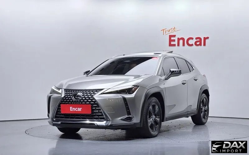 Lexus UX 2.0 2WD