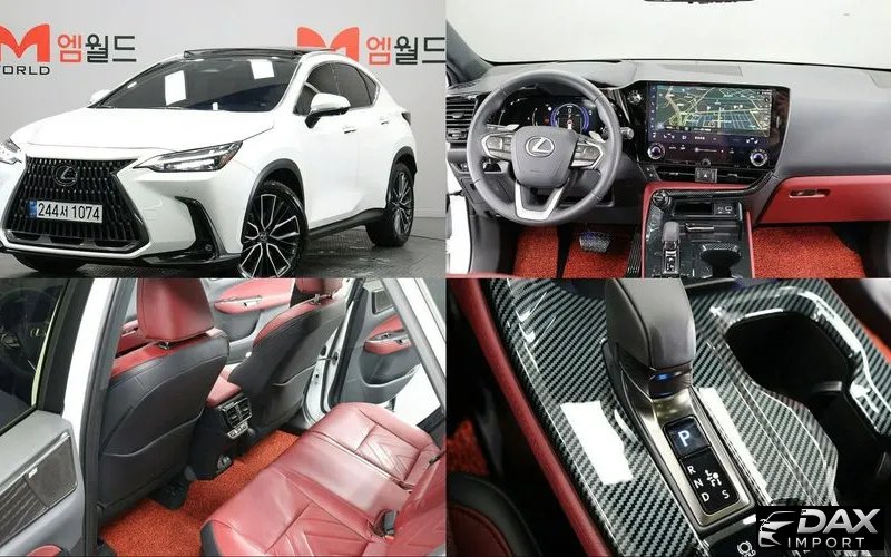 Lexus NX Luxury